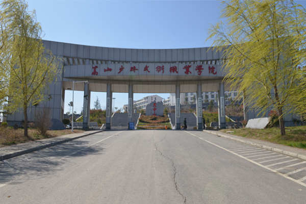 嵩山少林武術職業(yè)學院